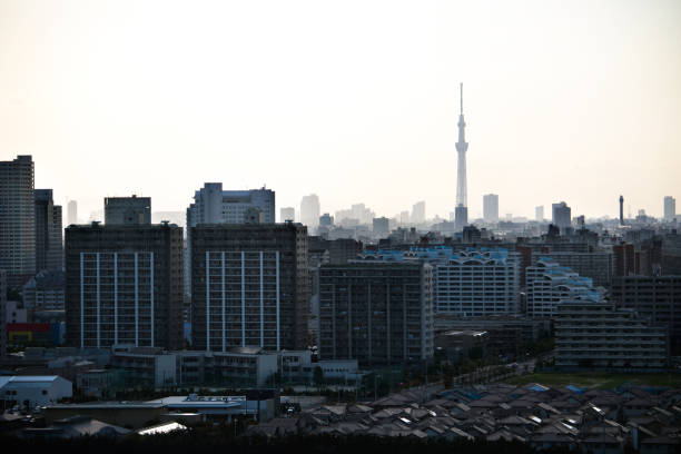 horizonte urbano de tokio - tokyo tower shinjuku ward tokyo prefecture communications tower fotografías e imágenes de stock