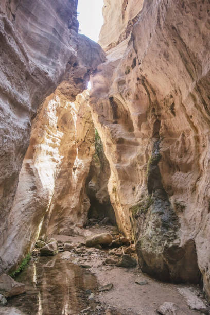 istock Avakas canyon. Akamas Peninsula. Cyprus landscape 923270252