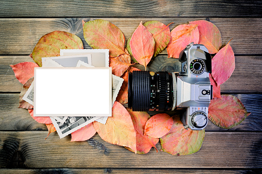 Top view of a 35mm camera, vintage photo and white space for text on background of leaves in a rustic wooden table