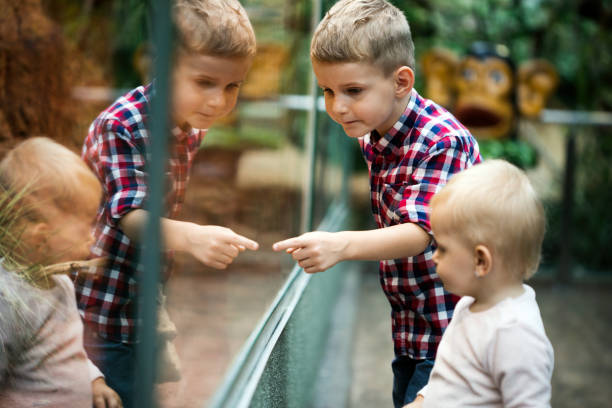 istock Tourists watching the insect in terrarium at zoo 923293948
