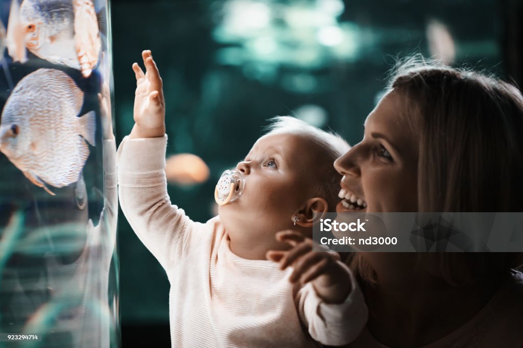 Mother and her child watching sea life Mother and her child watching sea life in oceanarium Zoo Stock Photo