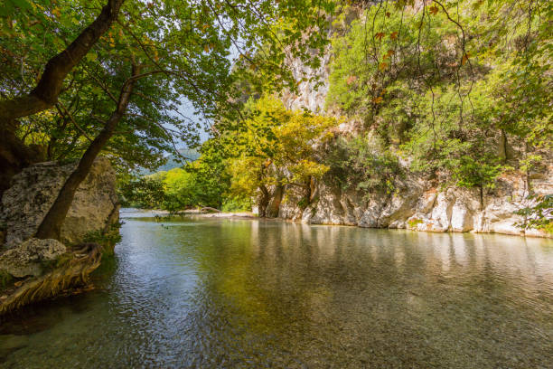 istock trees and vegetation at Acheron river in Greece 923301148