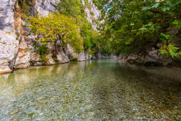 istock trees, vegetation,  rocks at Acheron river in Greece 923301422