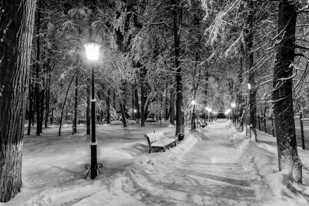 istock Winter park at night. Monochrome. 923308974