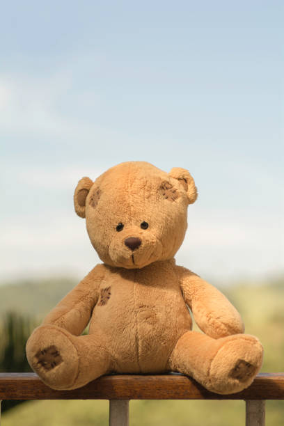 istock Teddy Bear sitting on wooden fence 923315550