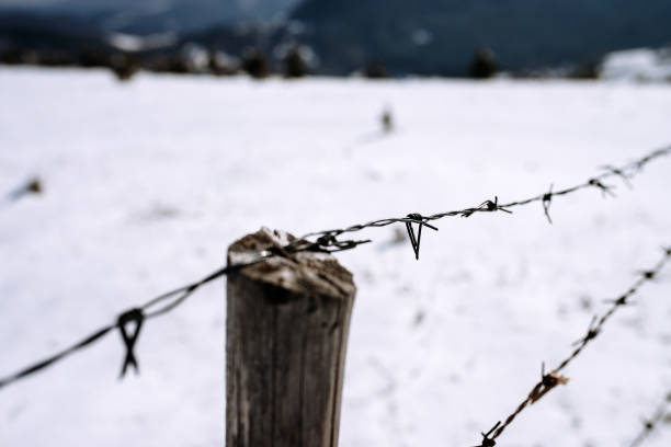 istock Fence with barbwire in a snowy landscape 923333878