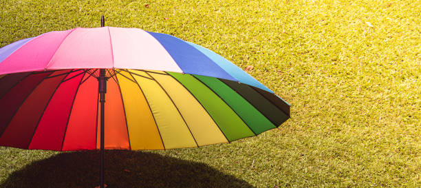istock rainbow umbrella in grass field vintage and retro tone, soft focus 923344716