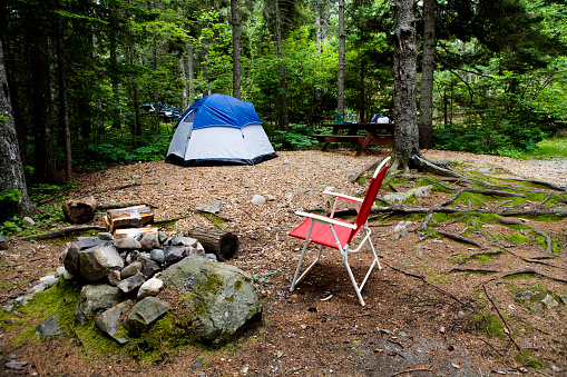 Hiking tent in the forest in summer