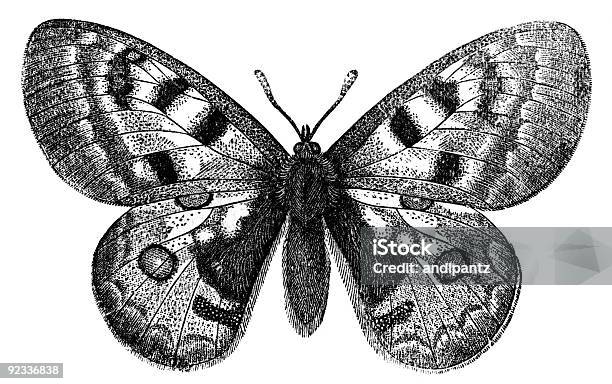 アポロウスバシロチョウ - チョウのストックフォトや画像を多数ご用意 - チョウ, モノクロ, 古風