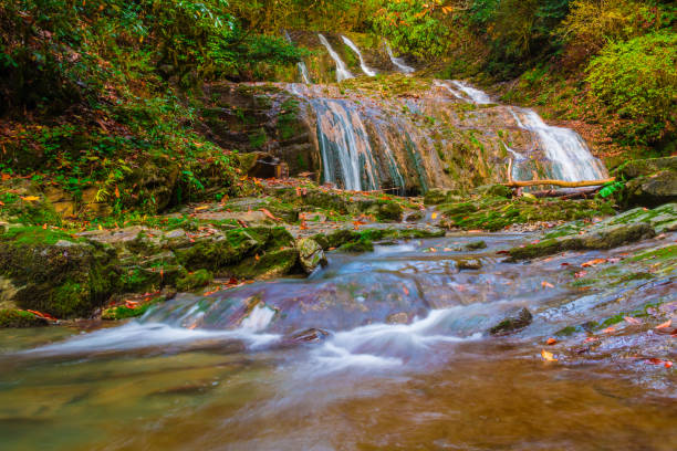 istock Waterfall of Bezumenka River, Sochi, Russia 923371044