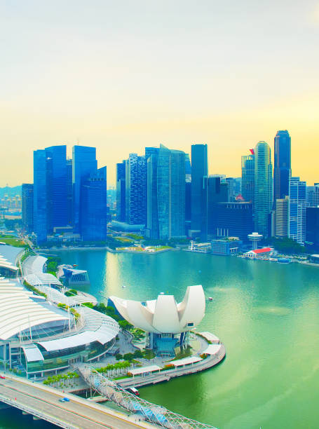istock Singapore Downtown at sunset 923371582