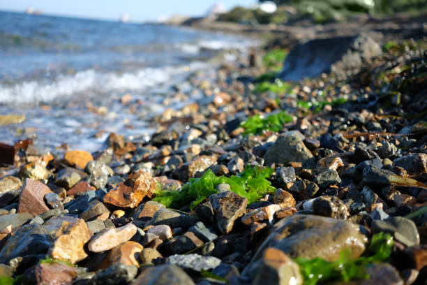Pebble stones near the sea in bright sunset light background