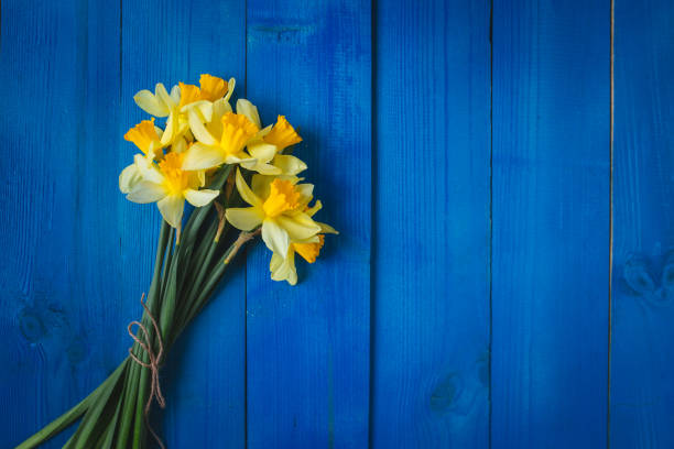 istock Yellow daffodils bouquet on blue wooden background, easter card 923376400