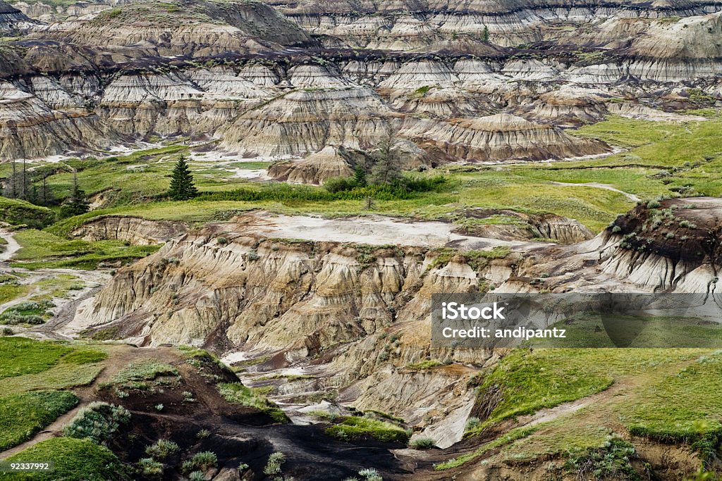 Canadian Badlands - Foto de stock de Alberta royalty-free