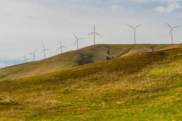 istock Columbia River Gorge High Desert Landscapes 923387090