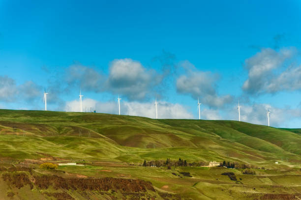 istock Columbia River Gorge High Desert Landscapes 923387190