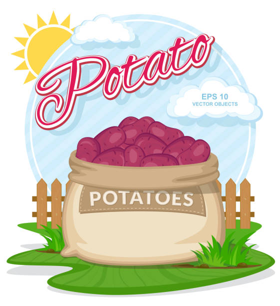 stockillustraties, clipart, cartoons en iconen met rode aardappelen in jute zak. volledige zakken met verse groenten. tas met oogst op de zomertuin - boubou
