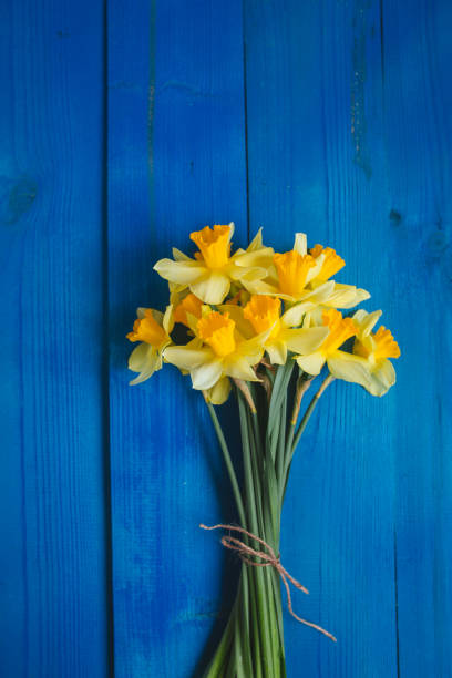 istock Yellow daffodils bouquet on blue wooden background, easter card 923387434