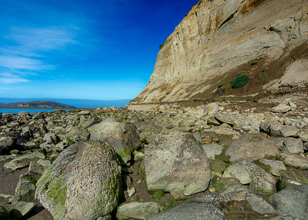 istock Landscape view end of Estero Trail in Point Reyes 923390980