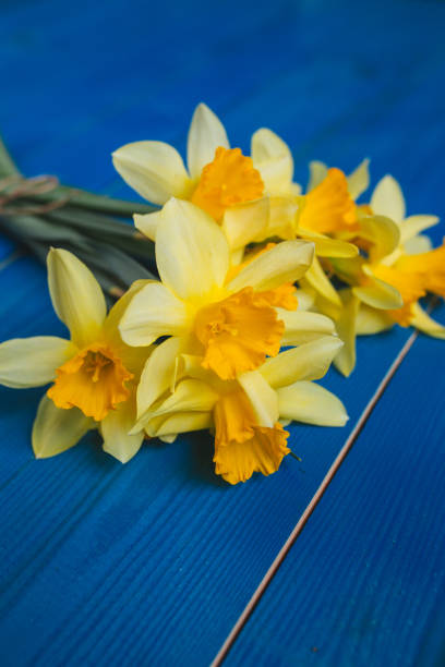 istock Yellow daffodils bouquet on blue wooden background, easter card 923393782