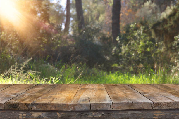 istock Empty rustic table in front of countryside background. product display and picnic concept. 923394588