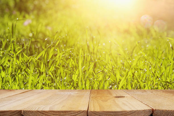 istock Empty rustic table in front of low angle view of fresh grass. product display and picnic concept. 923394606