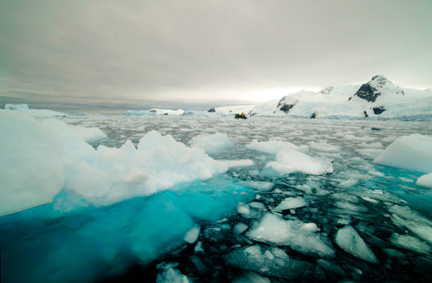 Iceberg in Paradise bay