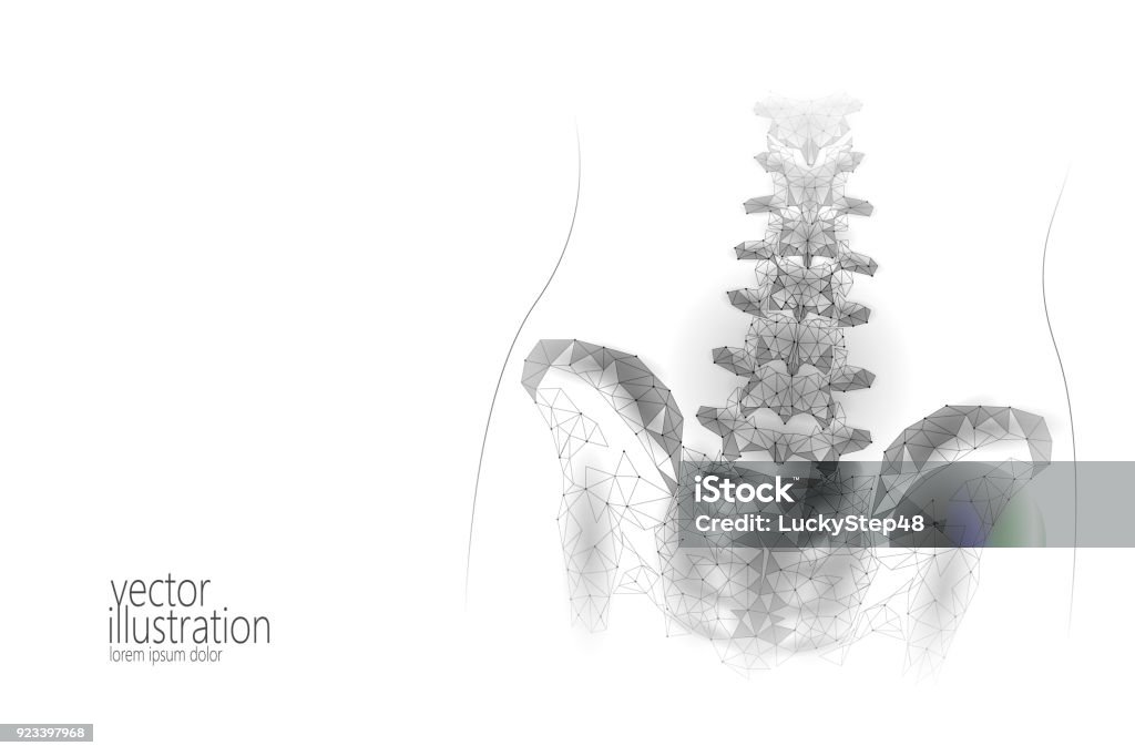 Human spine hip lumbar radiculitis pain low poly. Geometric polygonal particle triangle point line future medicine technology abstract gray white vector illustration Human spine hip lumbar radiculitis pain low poly. Geometric polygonal particle triangle point line future medicine technology abstract gray white vector illustration art Spine - Body Part stock vector