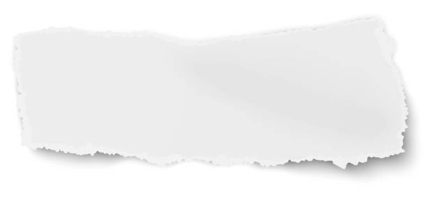 вектор оборванный разорванный бумажный лом с мягкой тенью изолированы на белом фоне - torned stock illustrations