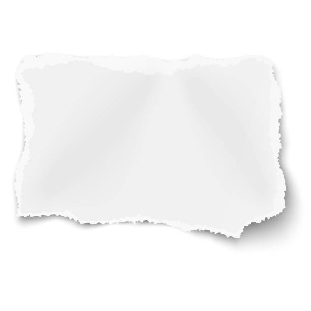 векторный прямоугольный рваный разорванный бумажный лом с мягкой тенью, помещенной на белом фоне - torned stock illustrations