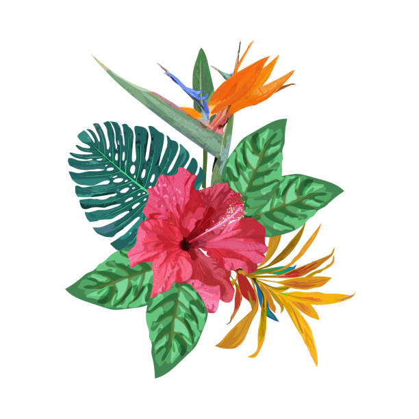 istock Bouquet with tropical plants. Set with palm leaves, red  hibiscu 923410154
