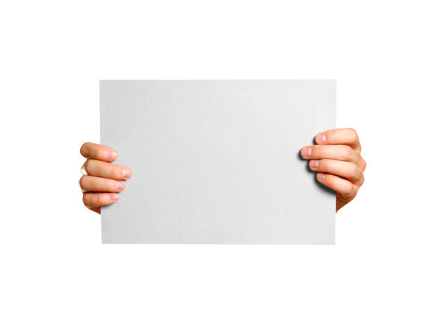 istock Hands holding a grey clean blank sheet of A4. Isolated on grey background 923413468