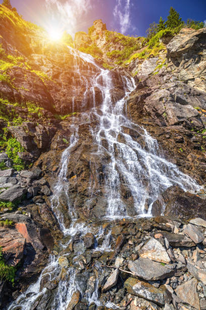 istock Capra waterfall in Fagaras mountains, Romania 923413670