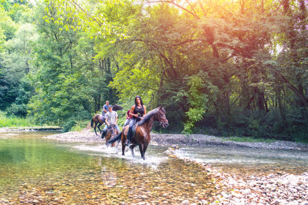 istock People Riding Horseback Together 923414394