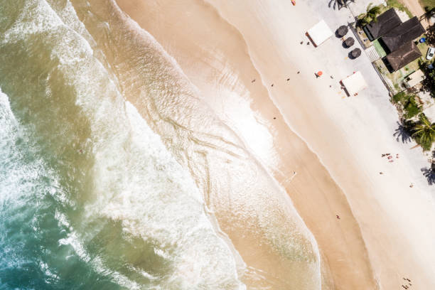 istock Aerial view of tropical beach 923421400