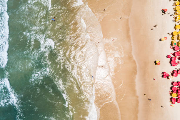 istock Aerial view of tropical beach 923421466