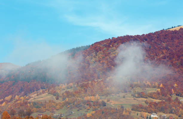 Morning autumn Carpathian mountains, Ukraine