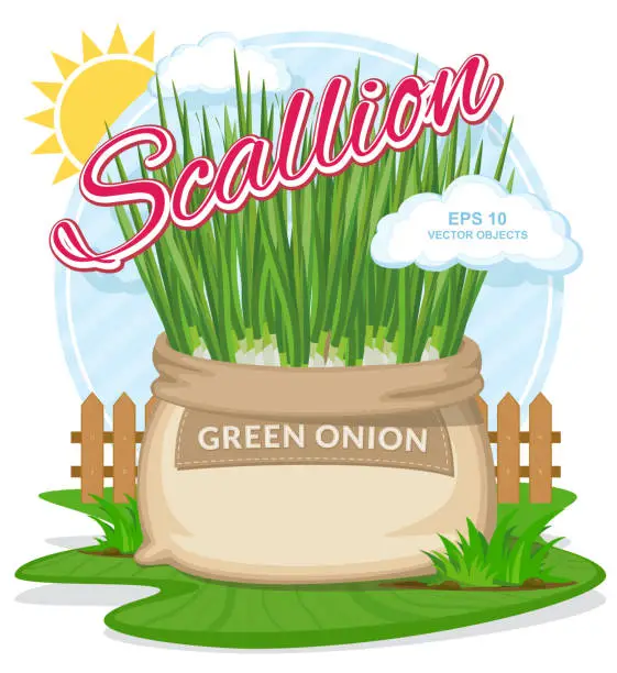 Vector illustration of Green onion in burlap sack. Full sacks with fresh vegetables. Bag with harvest on the summer garden