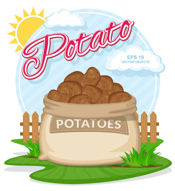 stockillustraties, clipart, cartoons en iconen met aardappelen in jute zak. volledige zakken met verse groenten. tas met oogst op de zomertuin - boubou