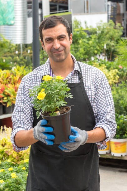 istock Male Florist working at a nursery plant 923430020