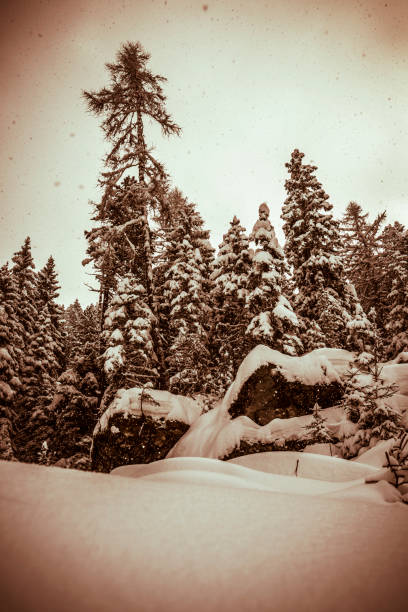 winter in the Karkonosze (Krkonoše, Giant Mountains) mountains