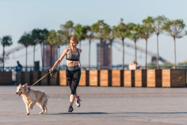 istock sportswoman jogging with dog 923441420