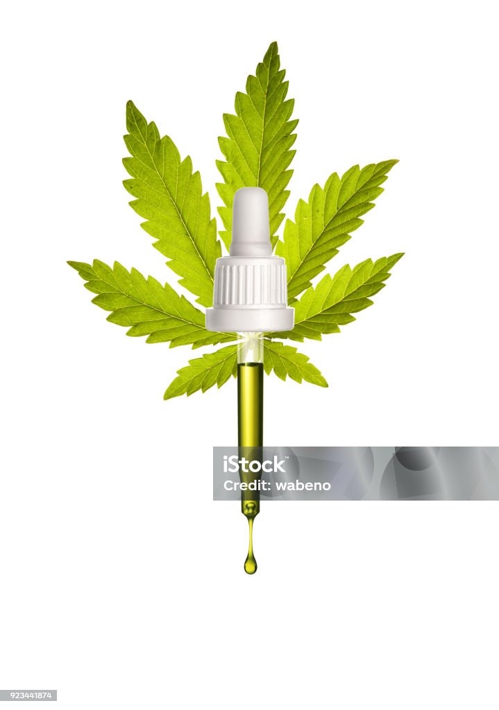 Hemp oil Pipette with a droplet hemp oil on cannabis leaf background Essential Oil Stock Photo