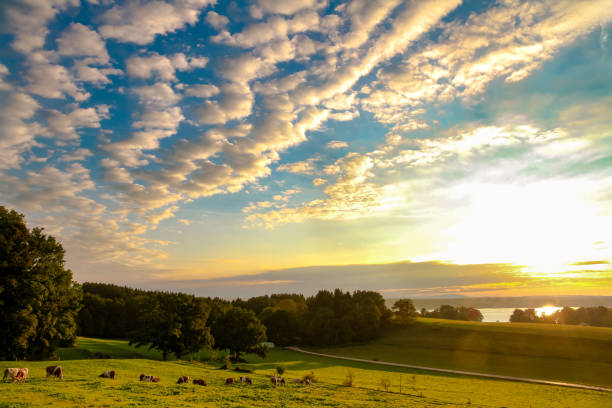 istock View of Starnberger See, Upper Bavaria, Germany 923441938