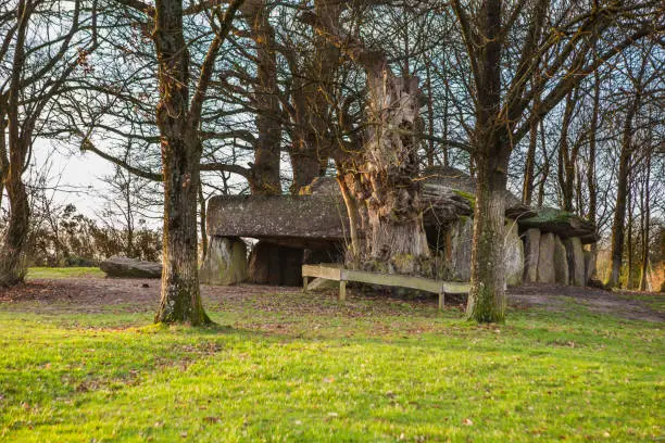 Photo of Dolmen in Britanny