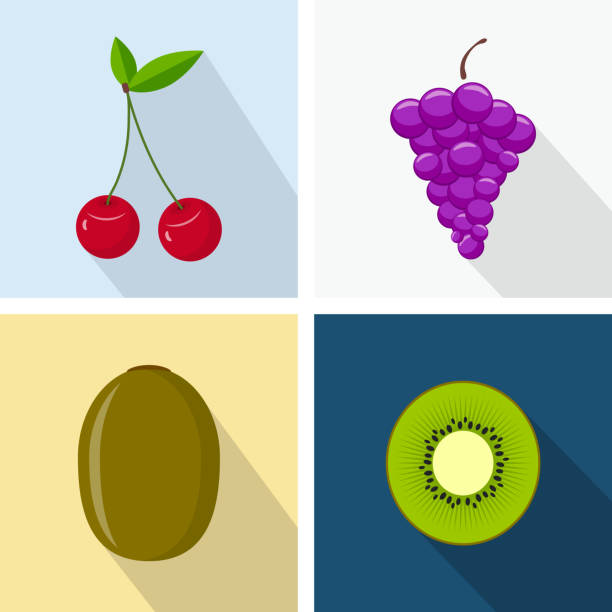 ilustrações de stock, clip art, desenhos animados e ícones de cherry, grapes and kiwi. colorful flat design. fruits with long shadow. vector icons set - grape bunch fruit stem