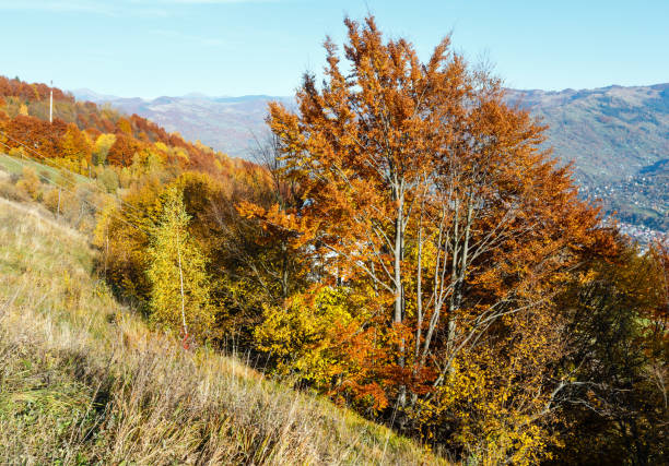 istock Autumn Carpathian mountain, Rakhiv, Ukraine 923458430