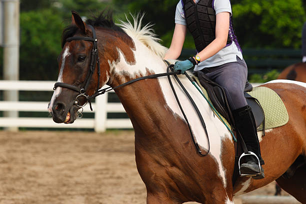 istock Horse and Jockey 92346372