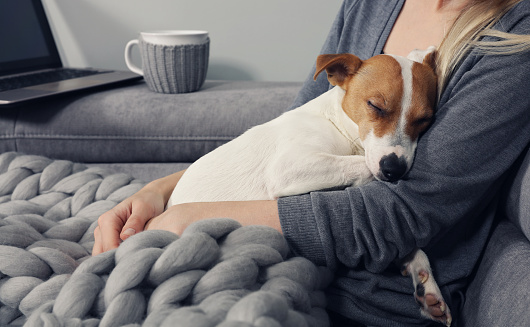 Cozy home, woman covered with warm blanket watching movie, hugging sleeping dog. Relax, carefree, comfort lifestyle.