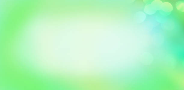 istock Abstract natural green bokeh background 923466040